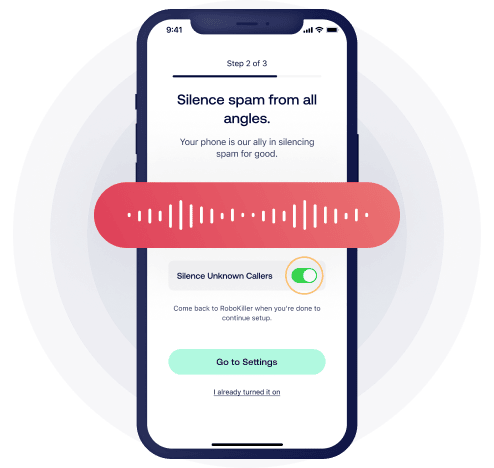 Audio Fingerprinting